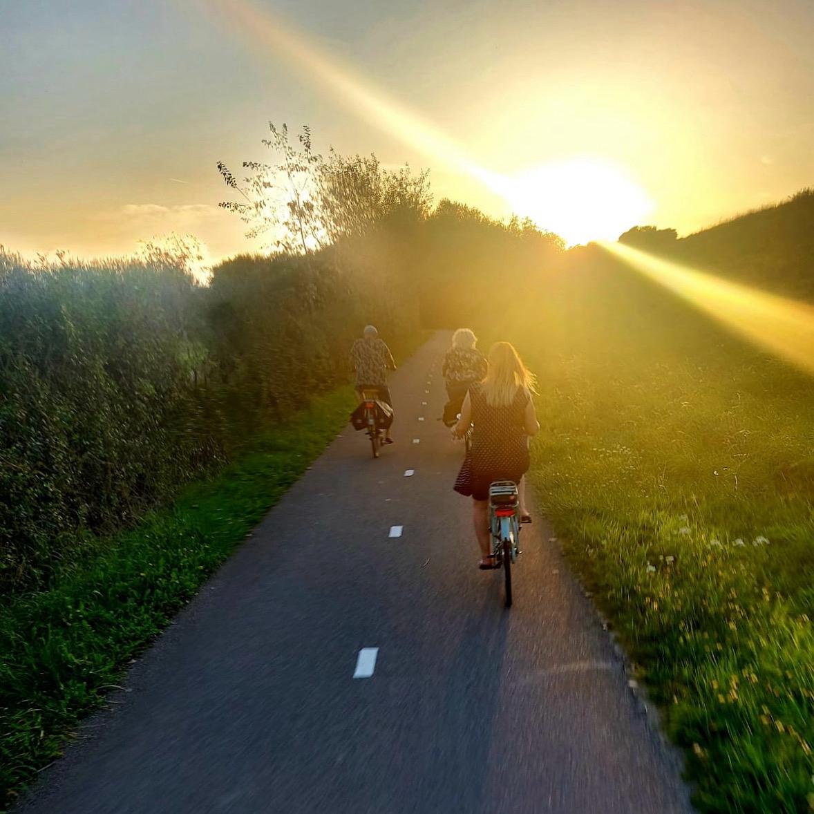 Hondje op het strand